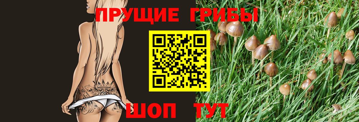Чита  Галлюциногенные грибы MAGIC MUSHROOMS  Вход с VPN 